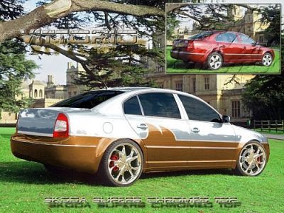  Skoda /   skoda_tuning_08.jpg - 500x375