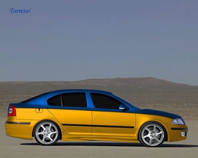  Skoda /   skoda_tuning_10.jpg - 500x400