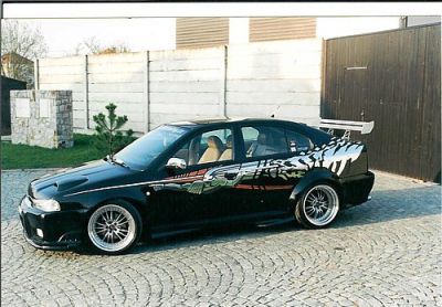  skoda_tuning_22.jpg - 500x348