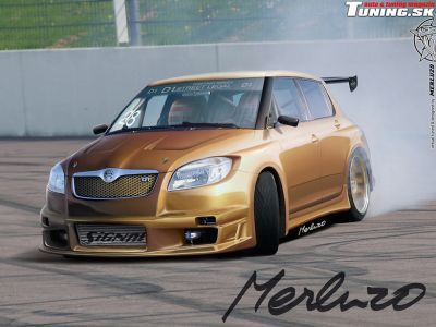  skoda_tuning_38.jpg - 780x585