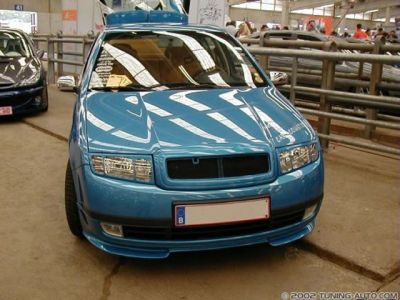  Skoda /   tuning_skoda_903.jpg - 640x480