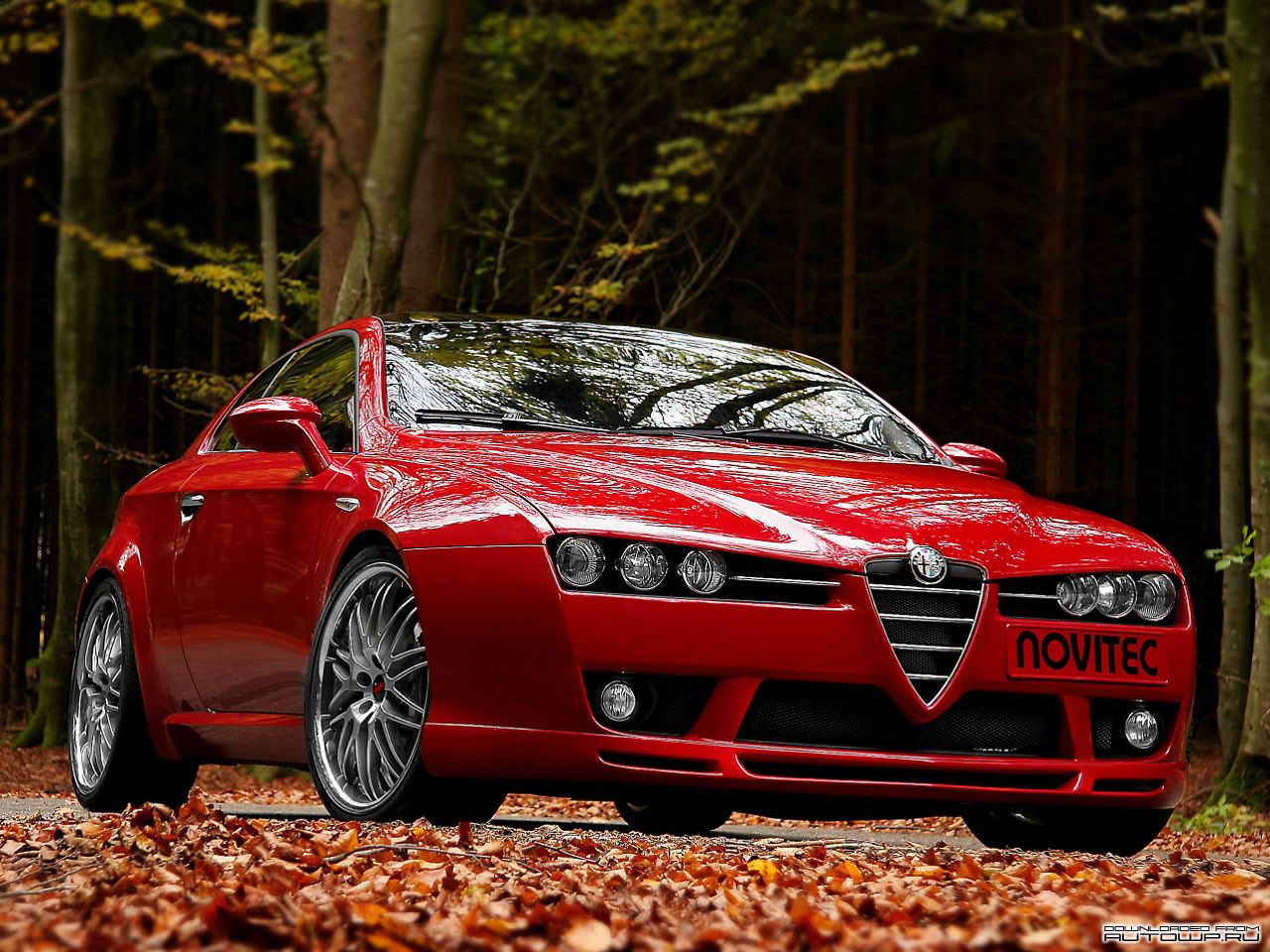  alfa_romeo_93.jpg