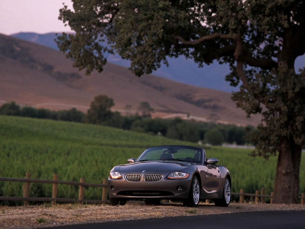      BMW -  bmw_z4_036.jpg