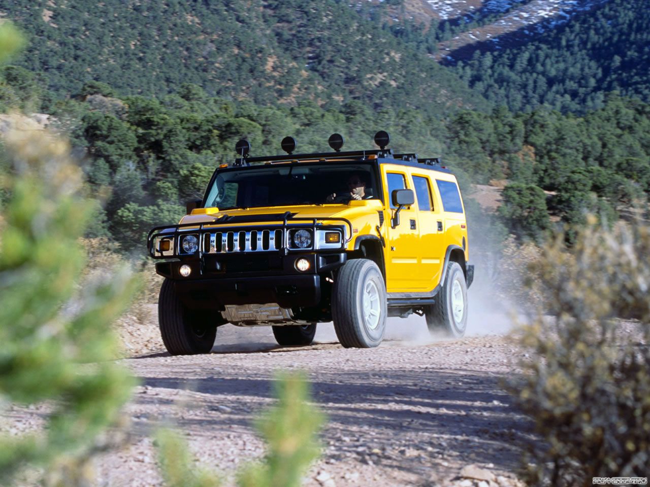  hummer_22.jpg