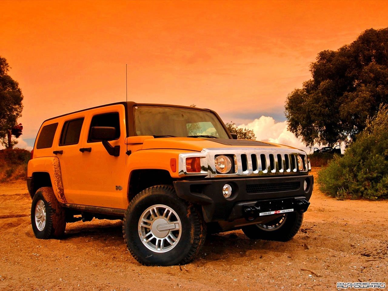  hummer_43.jpg