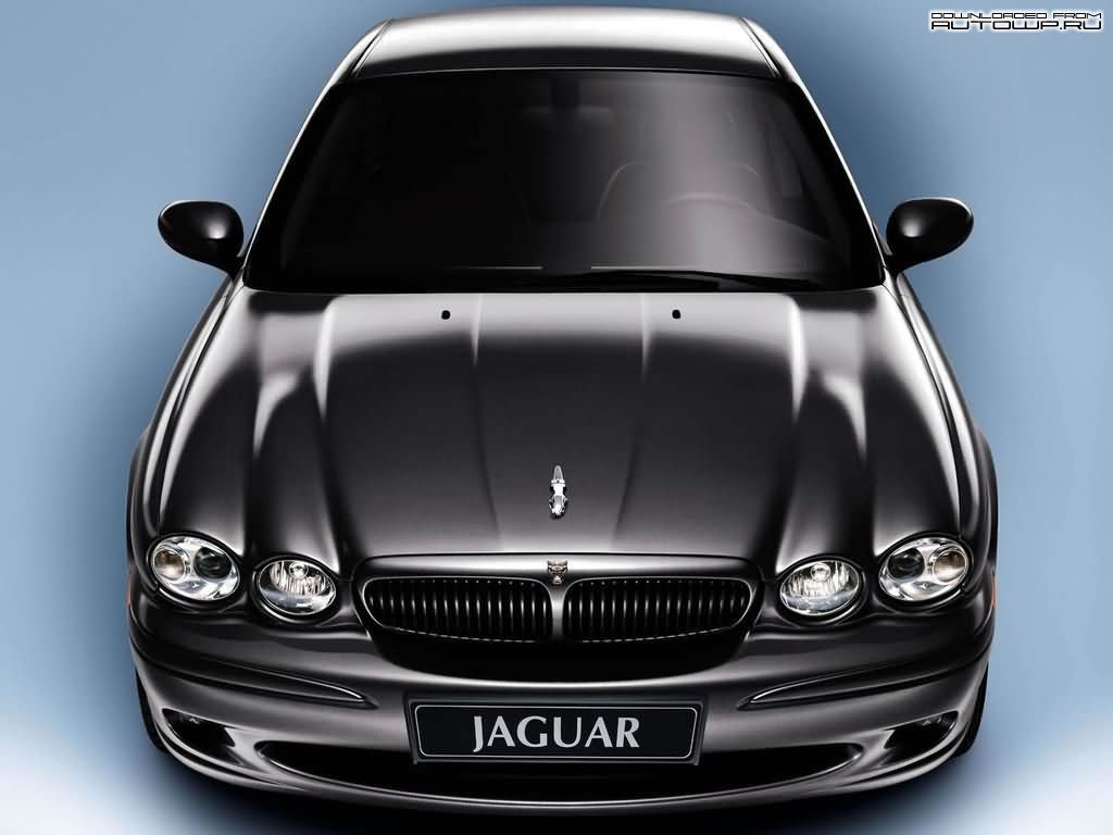  jaguar_59.jpg