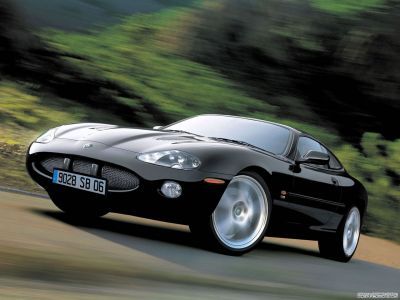  jaguar_119.jpg - 1280x960