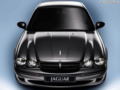  jaguar_59.jpg - 1024x768