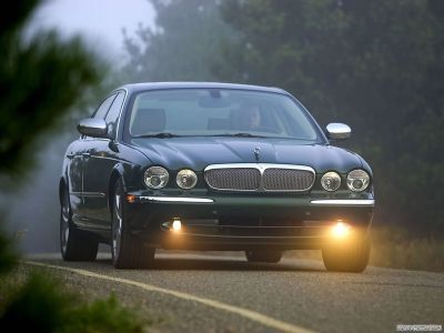  jaguar_99.jpg - 1280x960