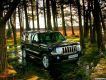  Jeep -  -  59