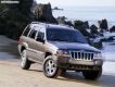  Jeep -  -  27