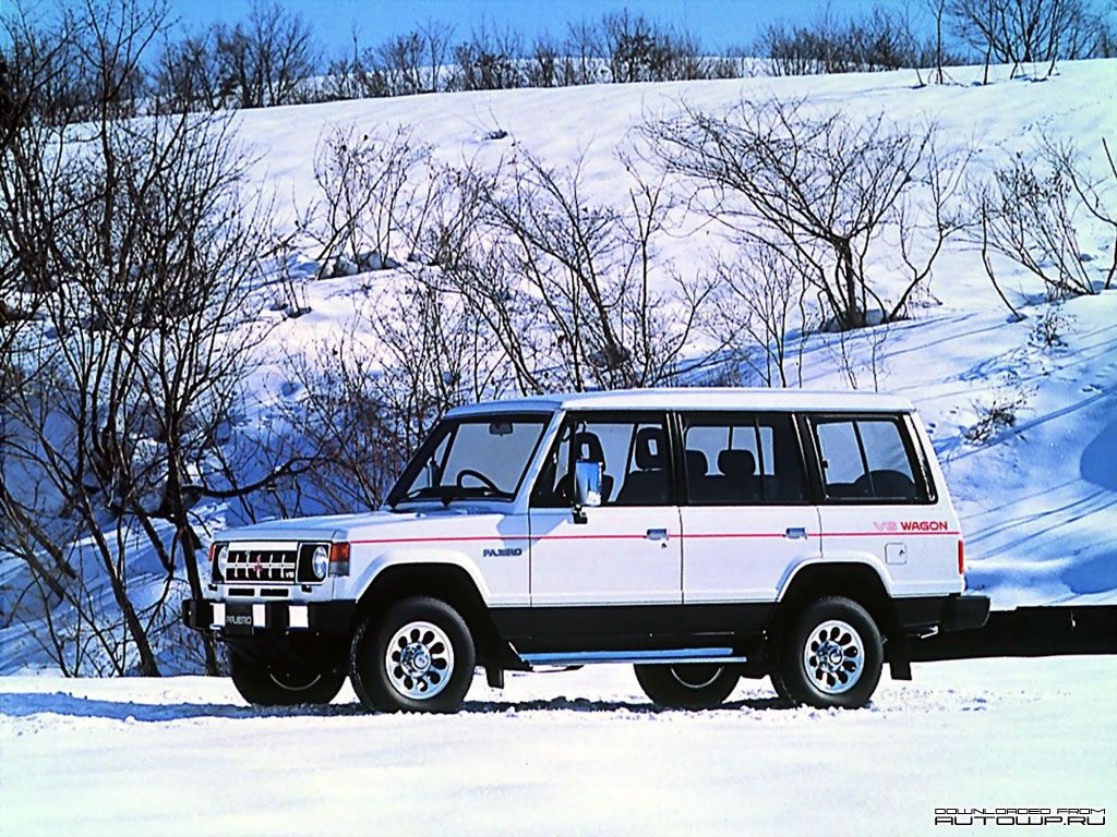  mitsubishil_193.jpg