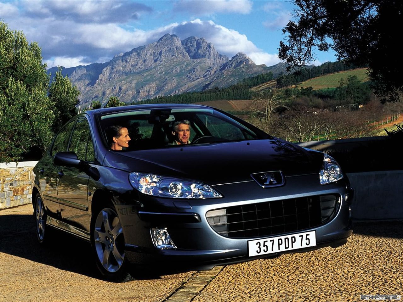  peugeot_137.jpg