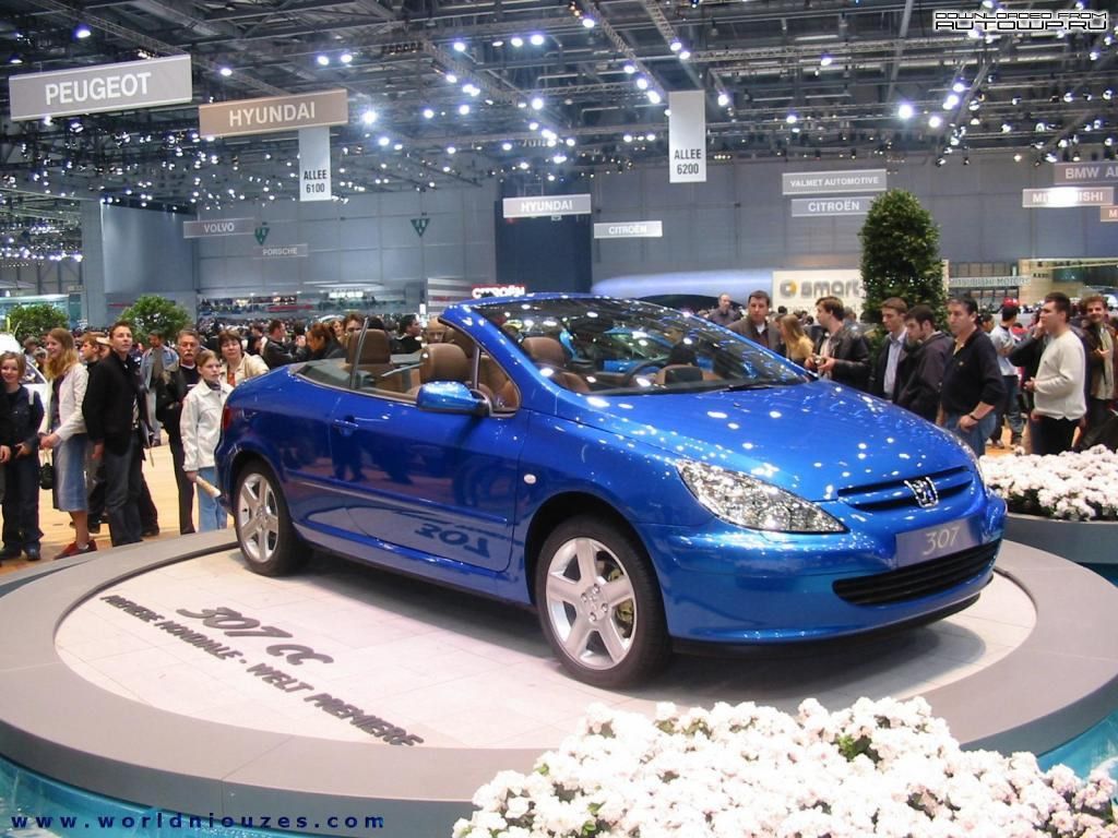  peugeot_72.jpg