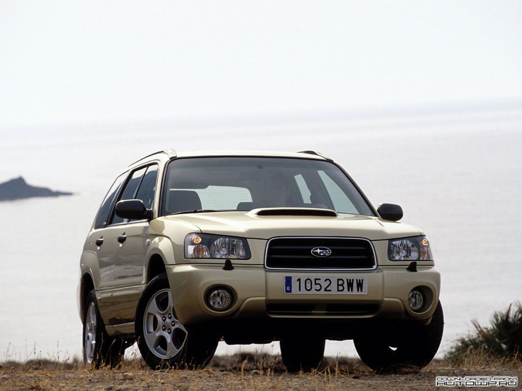  subaru_20.jpg