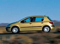 Peugeot 307 2.0 